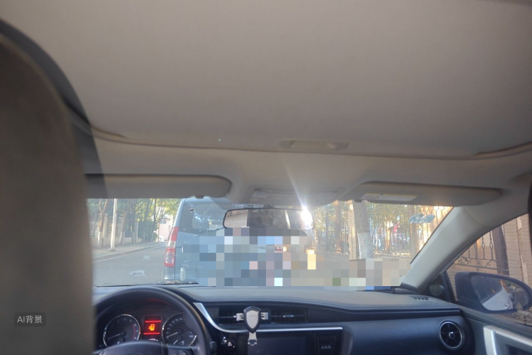 Toyota Corolla 2019 car image #20