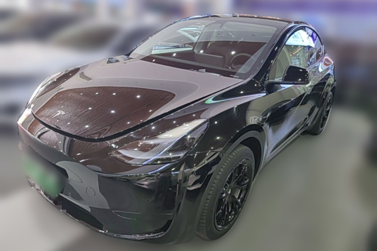 Tesla Model Y 2023 #2 Tesla Model Y 2023 car image #2