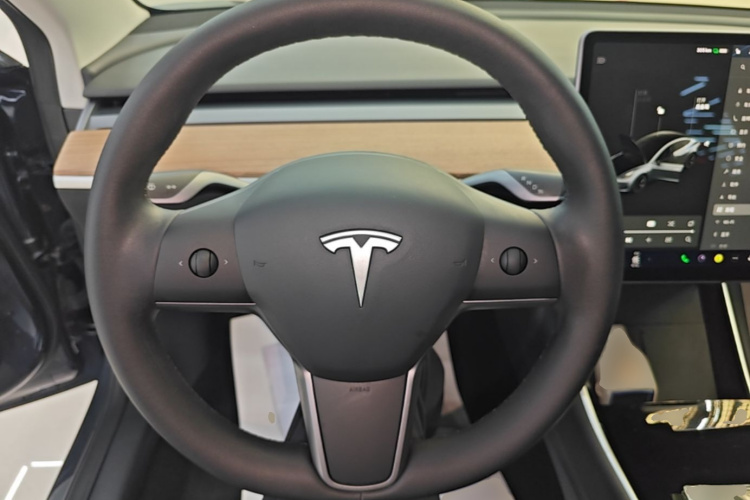 Tesla Model 3 2020 #15 Tesla Model 3 2020 car image #15