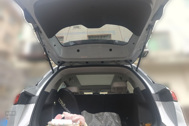 BYD YuanUP 2024 car image #21