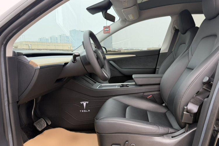 Tesla Model Y 2023 car image #10