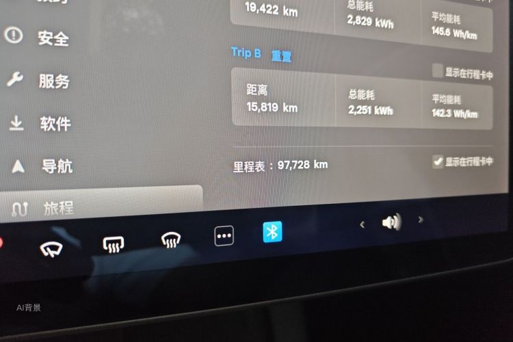 Tesla Model 3 2021 car image #14