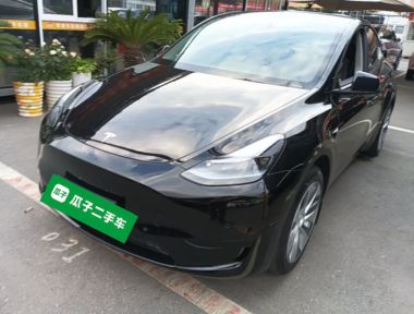 Tesla Model Y 2023 Tesla Model Y 2023 car image