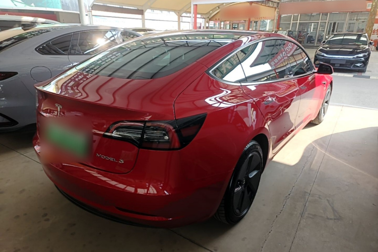 Tesla Model 3 2021 #5 Tesla Model 3 2021 car image #5