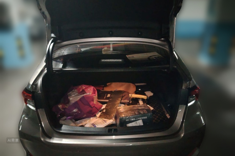Toyota Corolla 2022 car image #21