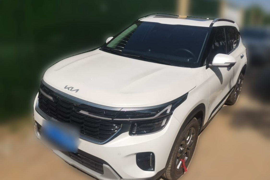 Kia Seltos 2024 car image 