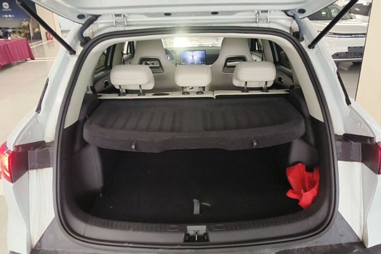 BYD YuanUP 2025 car image #21
