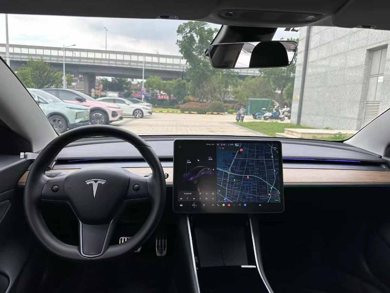 Tesla Model 3 2020 car image #6