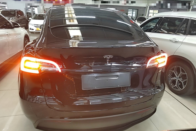 Tesla Model Y 2022 car image #4