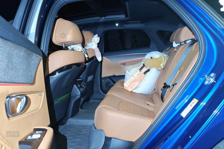 BYD Han 2021 imagem de carro #19