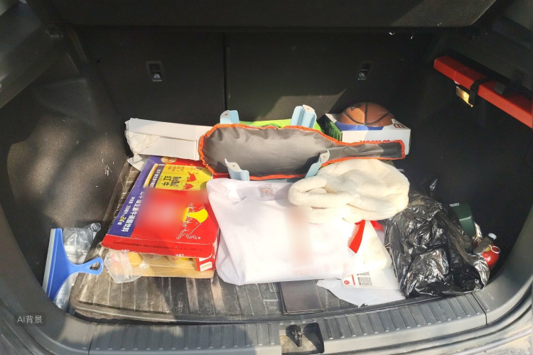 大众 途岳 2019 汽车图片 #21