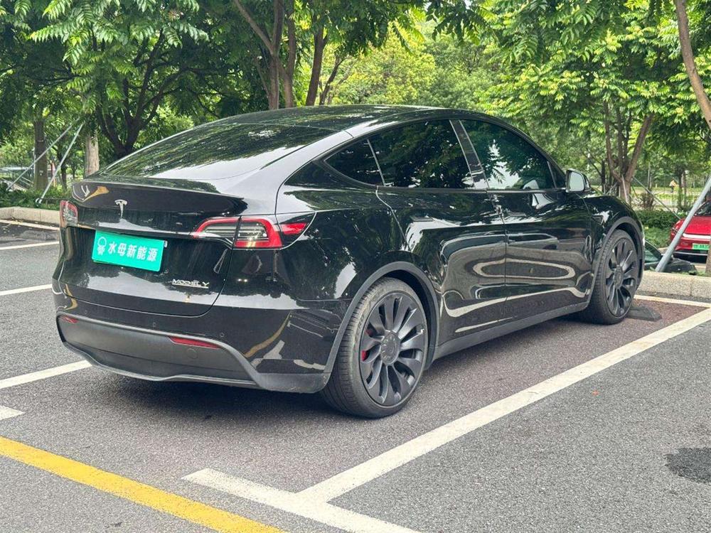 Tesla Model Y 2023 car image #6