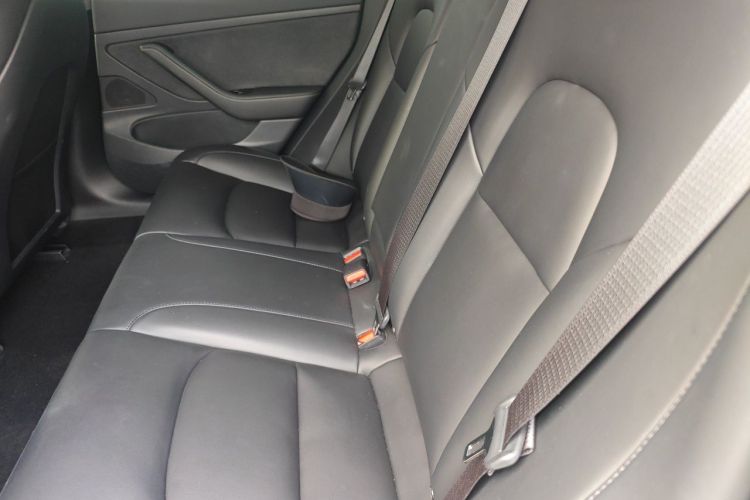 Tesla Model 3 2020 imagem de carro #10