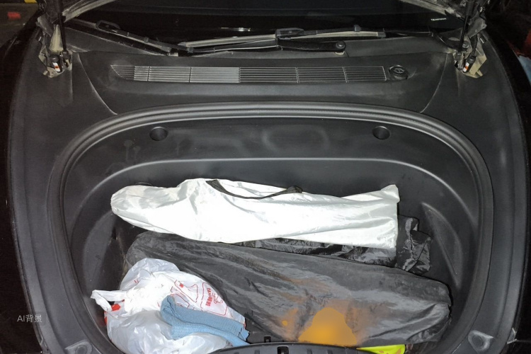 Tesla Model 3 2023 car image #22