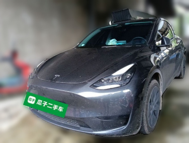Tesla Model Y 2024 Tesla Model Y 2024 car image