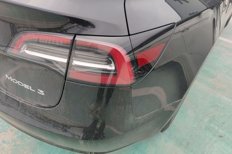 Tesla Model 3 2021 #8 Tesla Model 3 2021 car image #8