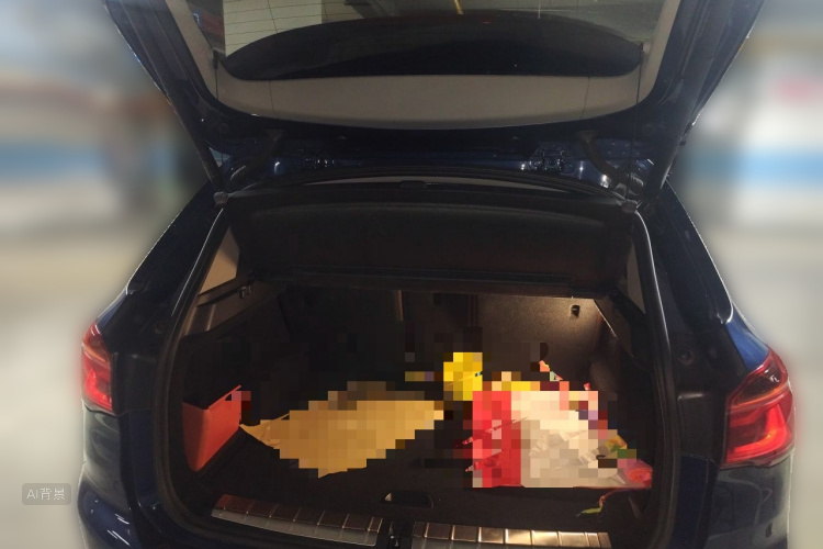 BMW X1 2019 car image #21