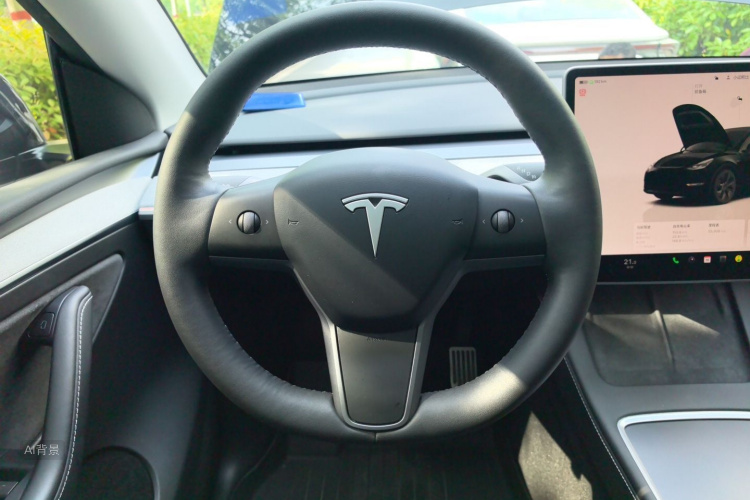 Tesla Model Y 2023 car image #12