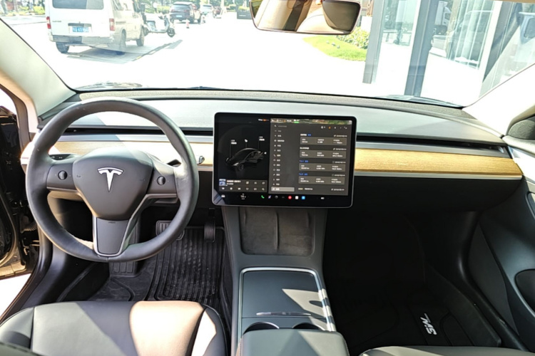 Tesla Model 3 2021 car image #10