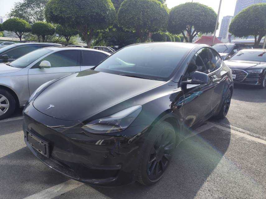 Tesla Model Y 2021 Tesla Model Y 2021 car image