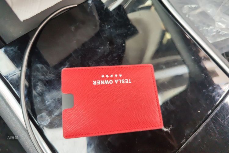 Tesla Model 3 2020 car image #10