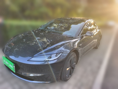 Tesla Model 3 2024 Tesla Model 3 2024 car image