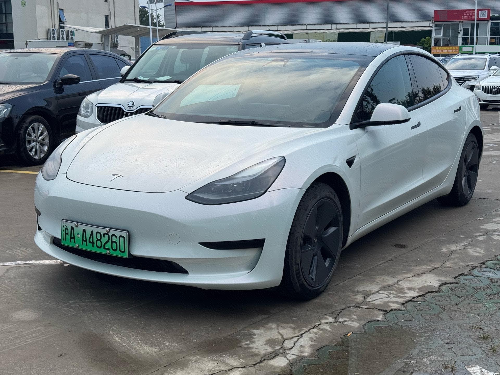 Tesla Model 3 2021 car image 