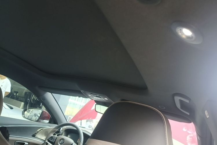 BYD Han 2023 imagen de coche #18