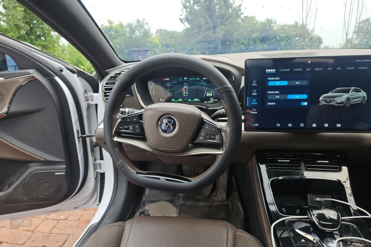 BYD Han 2022 car image #12