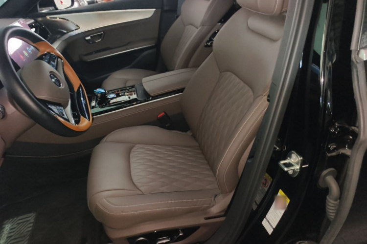 BYD Han 2024 car image #15