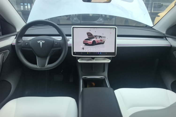 Tesla Model Y 2024 car image #10