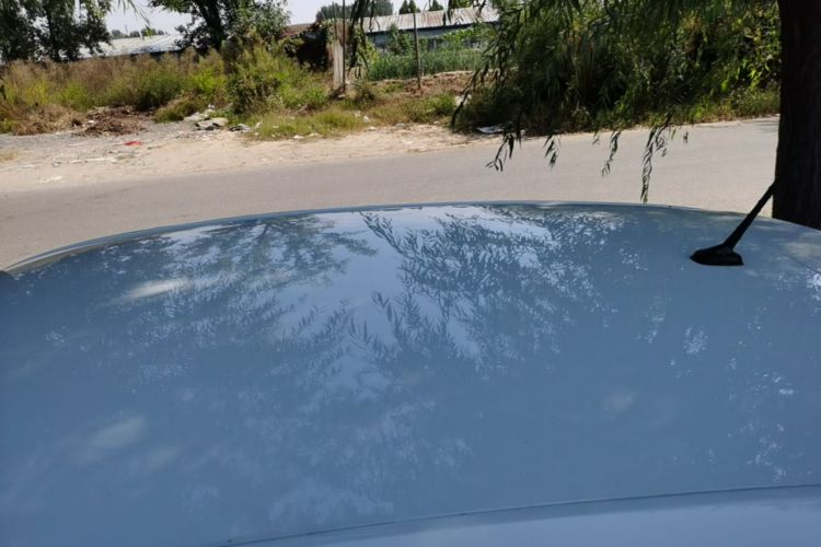 Volkswagen Polo 2023 car image #25