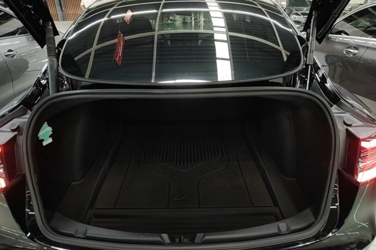 Tesla Model 3 2022 car image #19