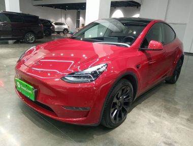 Tesla Model Y 2023 Tesla Model Y 2023 car image