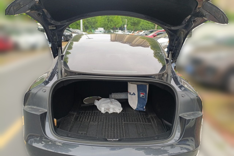 Tesla Model 3 2024 #17 Tesla Model 3 2024 car image #17