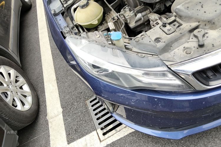 GEELY Emgrand GL 2020 car image #8