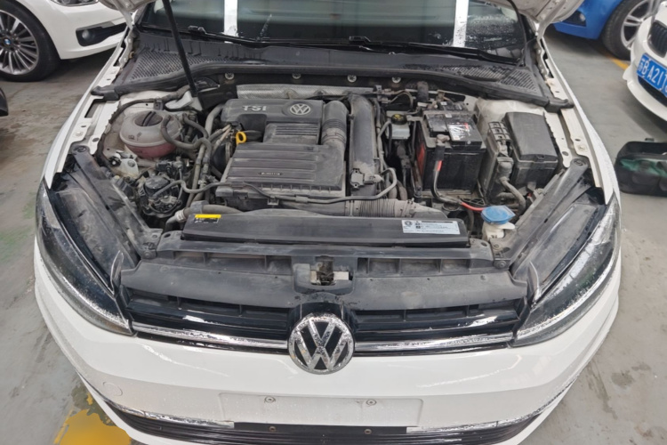 Volkswagen Golf 2020 car image #20