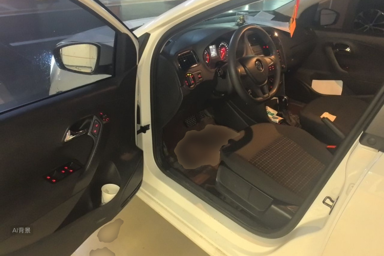 Volkswagen Polo 2015 car image #18