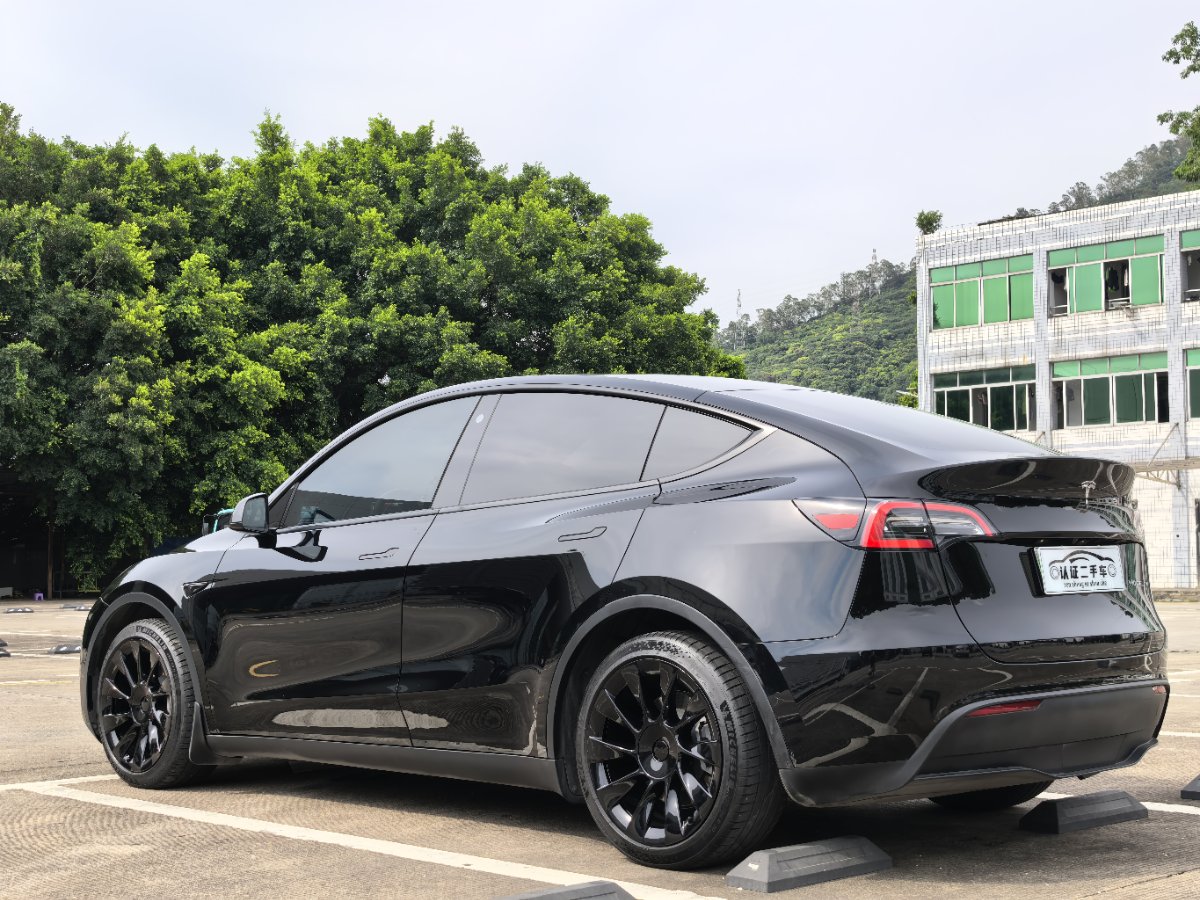 Tesla Model Y 2021 car image #10
