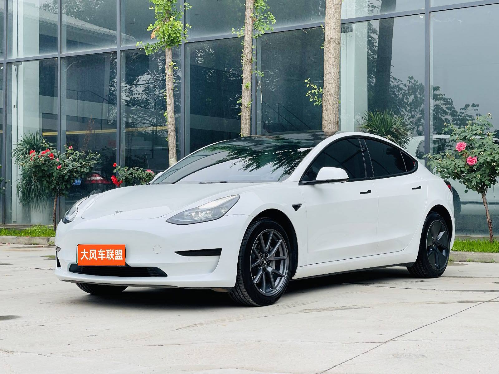 Tesla Model 3 2023 Tesla Model 3 2023 car image