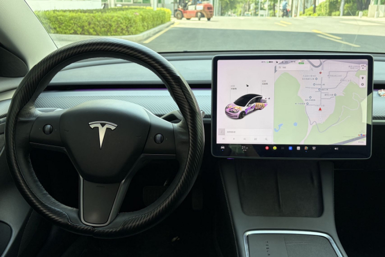 Tesla Model 3 2021 car image #6