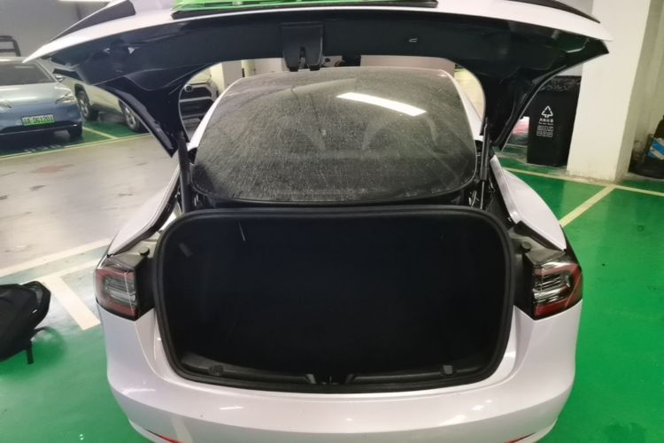 Tesla Model 3 2021 car image #19