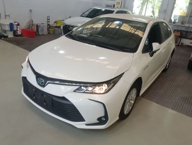 Toyota Corolla 2023 Toyota Corolla 2023 immagine di auto