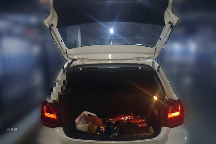 Volkswagen Polo 2017 #21 Volkswagen Polo 2017 car image #21