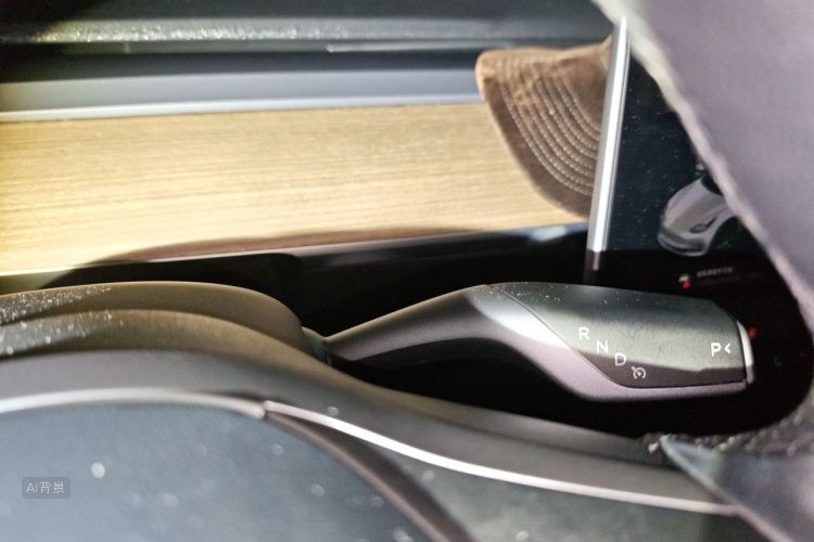 Tesla Model 3 2021 car image #16