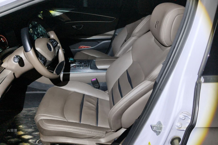 BYD Han 2022 immagine di auto #17