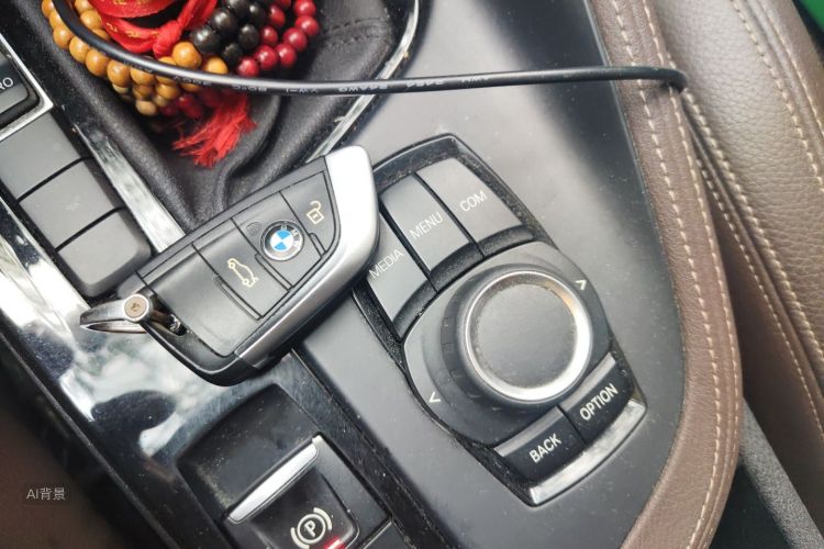 BMW X1 2019 car image #10