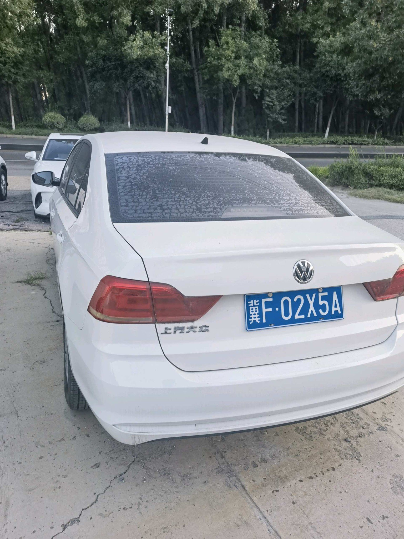 Volkswagen Santana 2019 immagine di auto #5