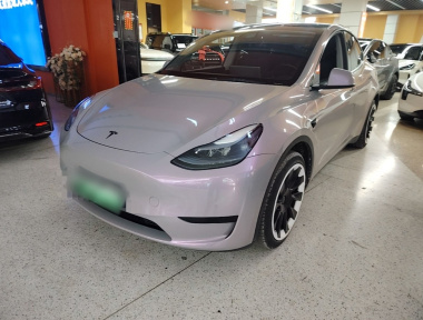Tesla Model Y 2023 car image 
