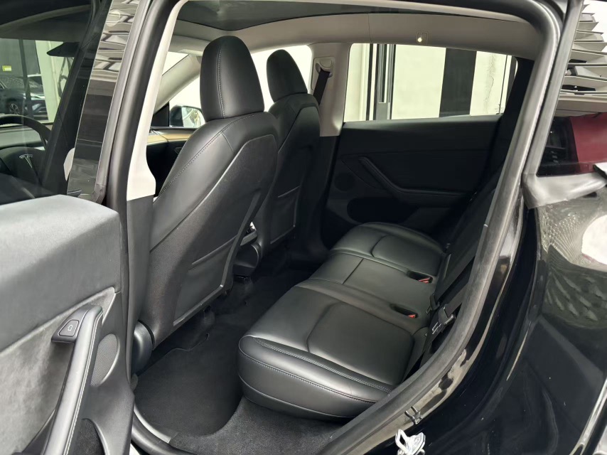 Tesla Model 3 2023 car image #6